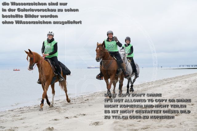 s_K3F04873.JPG